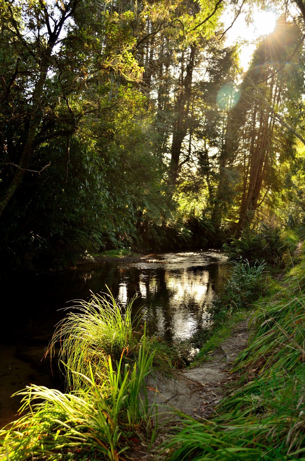 Contact Us & Bookings Paradise Valley Lodge, Rotorua
