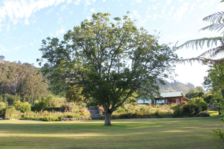 FAQ Paradise Valley Lodge Rotorua Lodge Retreat Venue Accommodation